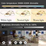 Modern Ring LED Ceiling Light - Gold - Length 100 cm - Dimmable With Remote Control - For Living And Dining Room - Ceiling Fixture