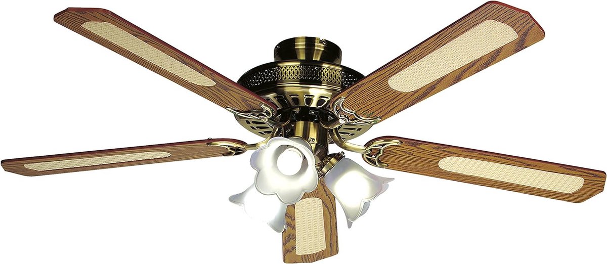 LuxiLamps - 5 Head Flower Ceiling Fan - Dimmable With Remote Control - E27 - 3 Speeds - 132 cm - Smart Fan