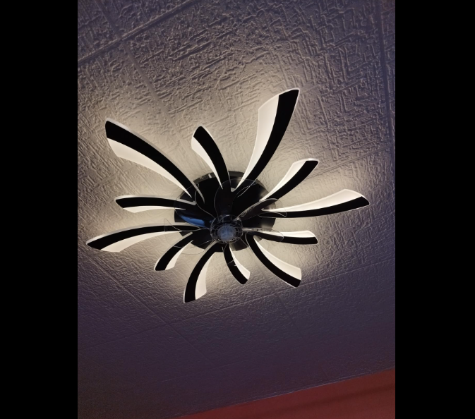 LuxiLamps - 5 Wing Fan Lamp - Dimmable With Remote Control - Black - Ceiling Fan With LED - Living Room Lamp - Modern Lamp - Ceiling Lamp