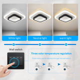 LuxiLamps - Modern Ceiling Light - LED - Aisle or Hallway Lamp - LED Lamp - Ceiling Fixture - Black/White