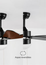 LuxiLamps - Quiet 6-Blade Ceiling Fan - 6 Speeds - Pull Chain - 80 cm - Black - Living Room Light - Kitchen - Bedroom - Modern Fan Light