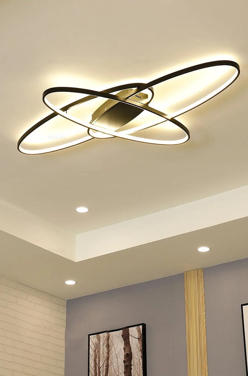 Oval Ring Ceiling Light - Black - With Remote Control - For Living And Dining Room - Ceiling Fixture