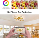 
Modern 4 Ring LED Ceiling Light - Gold - Dimmable With Remote Control And App - For Living And Dining Room - Ceiling Fixture