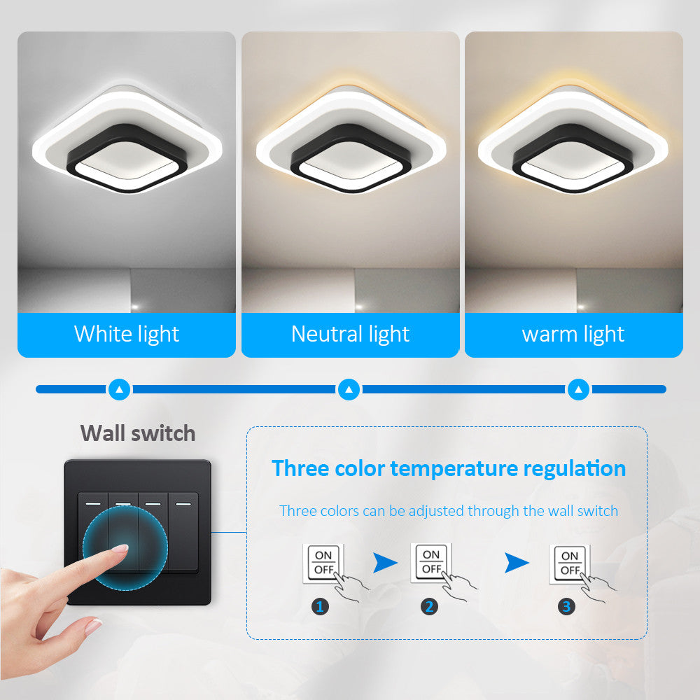 LuxiLamps - Modern Ceiling Light - LED - Aisle or Hallway Lamp - LED Lamp - Ceiling Fixture - Black/White