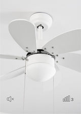 
LuxiLamps - Silent 6 Blade Ceiling Fan - 3 Speeds - Chain Switch - Reversible Blade - 80 cm - White - Living Room Lamp - Kitchen - Bedroom - Modern Fan Lamp