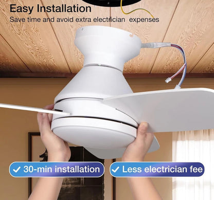 LuxiLamps - 5 Blad Plafondventilator - Moderne LED Ventilator - 3 Snelheden - Bedienbaar Met Afstandsbediening - 132 cm - Wit - Omkeerbare Bladen